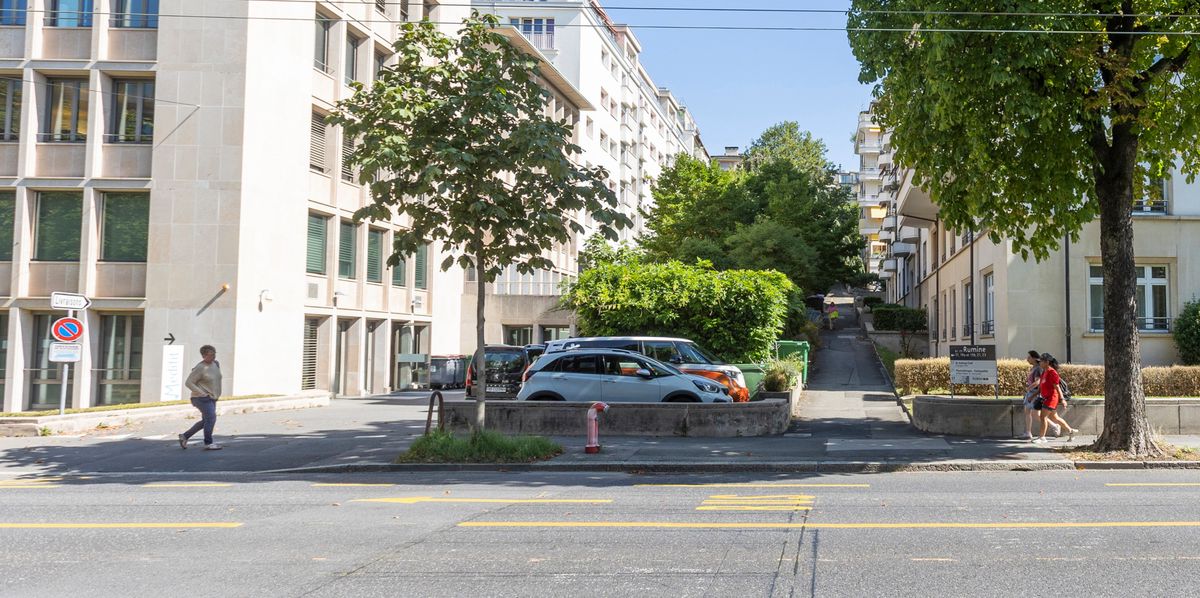 Rue calme bordée de bâtiments résidentiels modernes, avec des voitures garées et des arbres le long du trottoir.