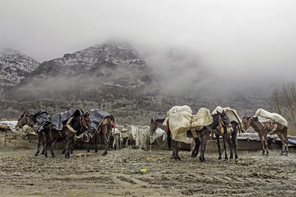 Reporters sans frontières en quête de financement