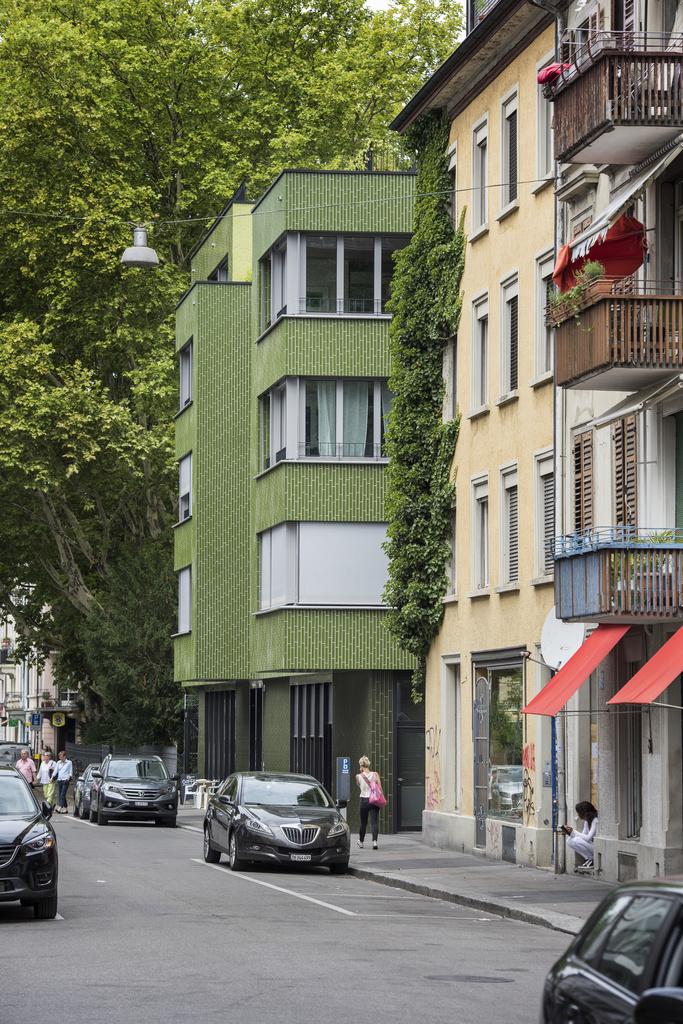 Kletterpflanzen auf dem Balkon  Tipps fr Heimgrtner