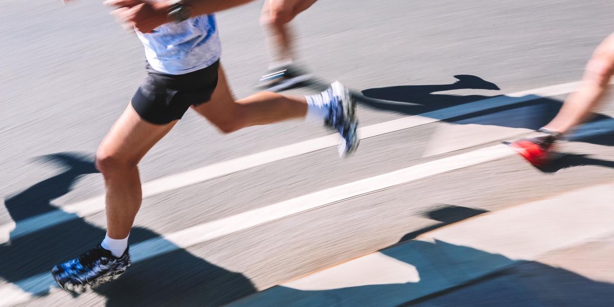 HOMO SAPIENS DIE ENTWICKLUNG DES MODERNEN MENSCHEN visual data 4