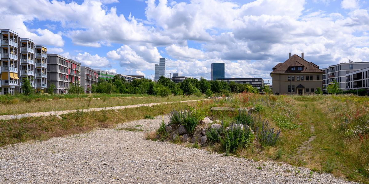 Basler-Parks-im-BaZ-Vergleich-Der-unbeliebteste-Park-in-Basel-ist-zugleich-der-artenreichste