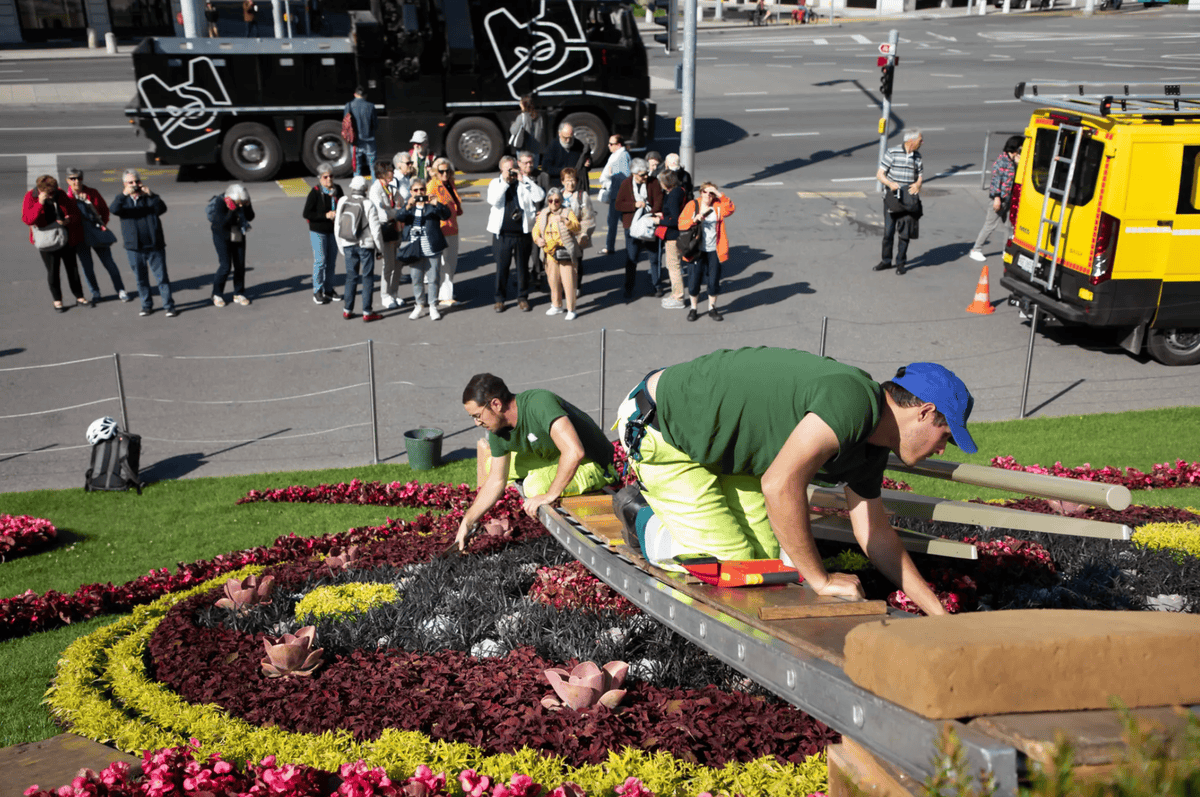 Souriez! Voici nos huit bonnes nouvelles de la semaine à Genève