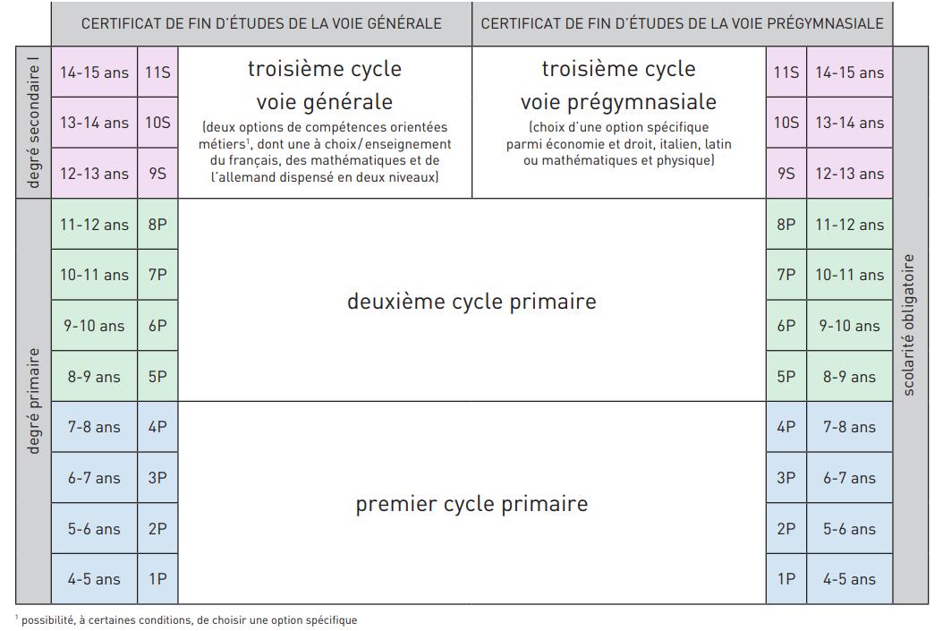 La structure de l’école obligatoire telle qu’elle se présente depuis 2013.