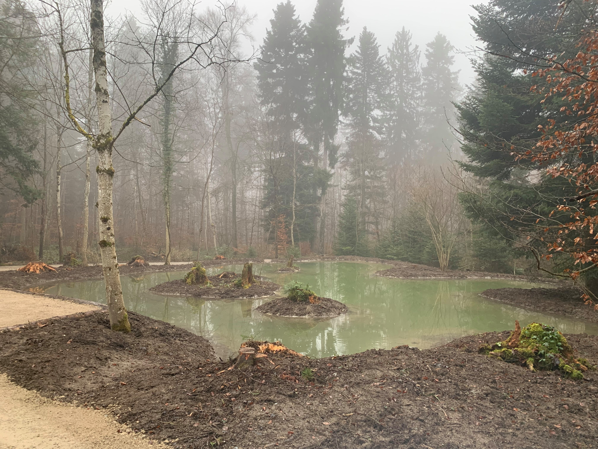 Zrich: Stadt baggert fnf knstliche Waldweiher am Zrichberg