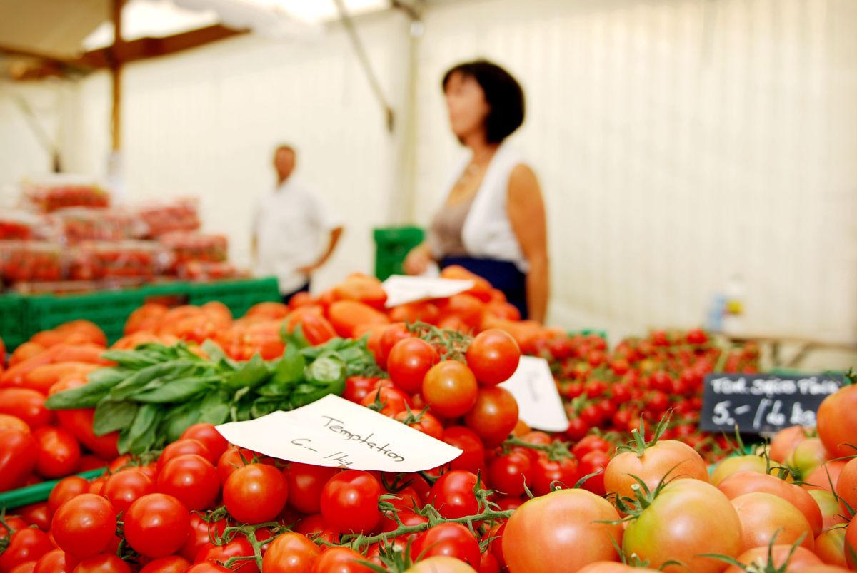 Vue de la fête de la tomate à Carouge le 16 juillet 2011, présentant une table garnie de tomates variées et une personne en arrière-plan.