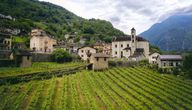 Genuss: Grosse Weine aus dem Tessin und aus Genf