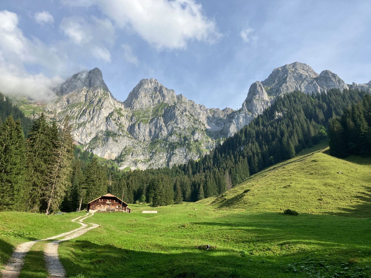 Château-d'OEx, 7 août 2024. L'alpage des Leysalets, réserve naturelle de La Pierreuse. Au fond le massif de la Gummfluh.
Photo © Gilles Simond

