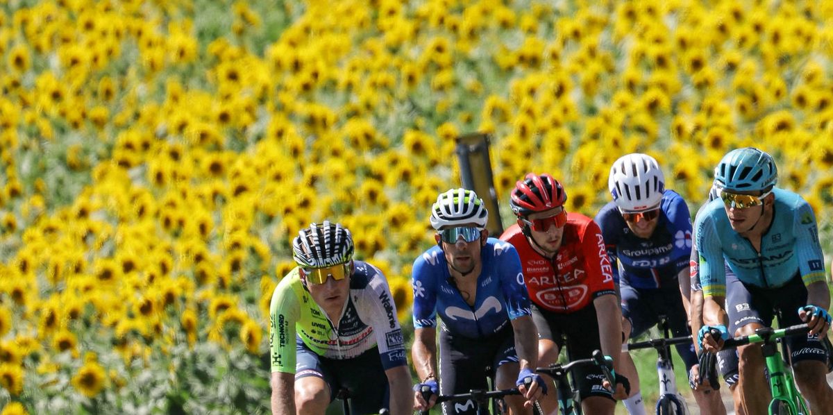 Les coureurs du Tour de France passent de nombreuses heures en pleine nature. Pas idéal pour ceux qui souffrent du rhume des foins.