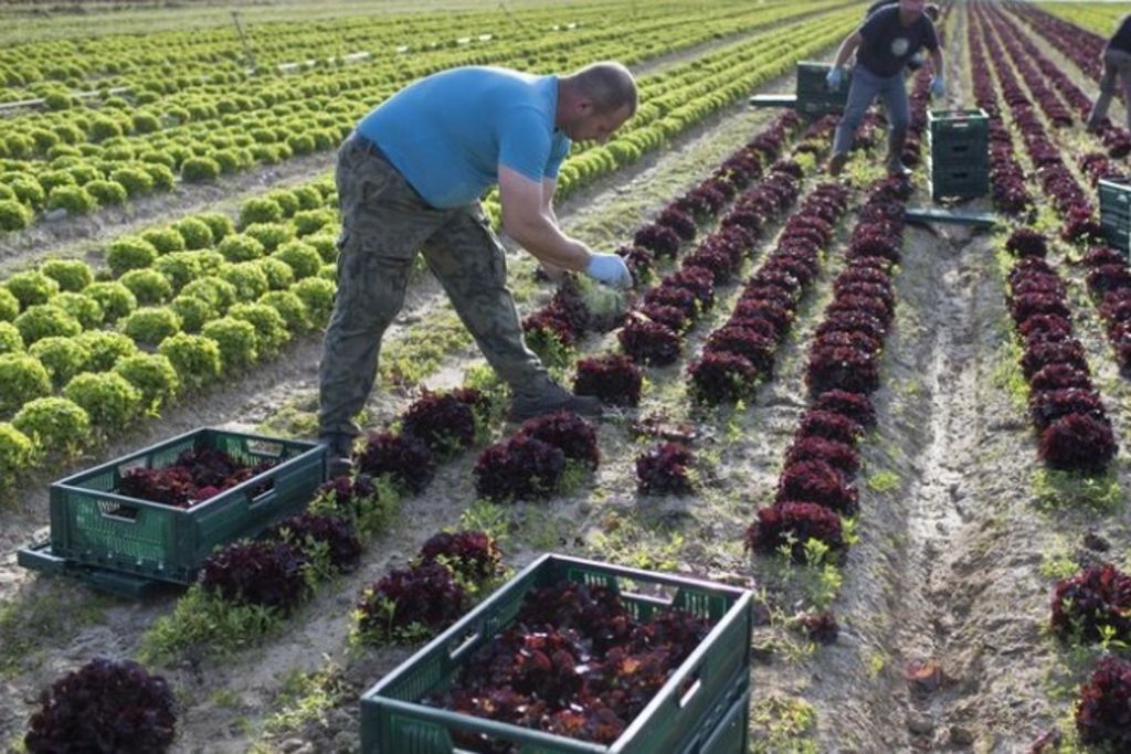 Faciliter les subventions pour l'agriculture «verte»