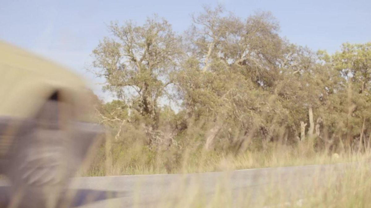 La critique de la semaine