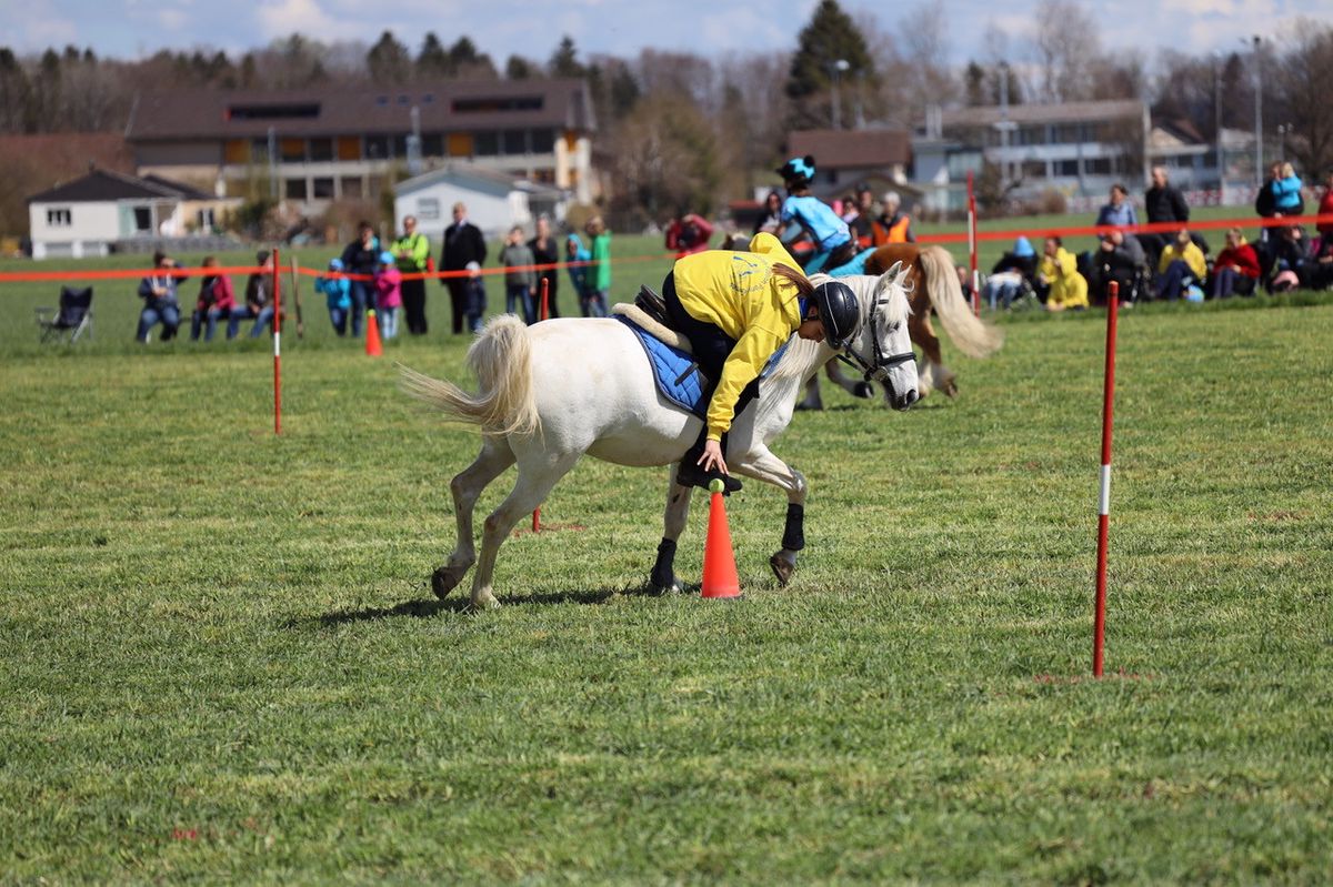 Le Pony-Games marie le sport et le jeu