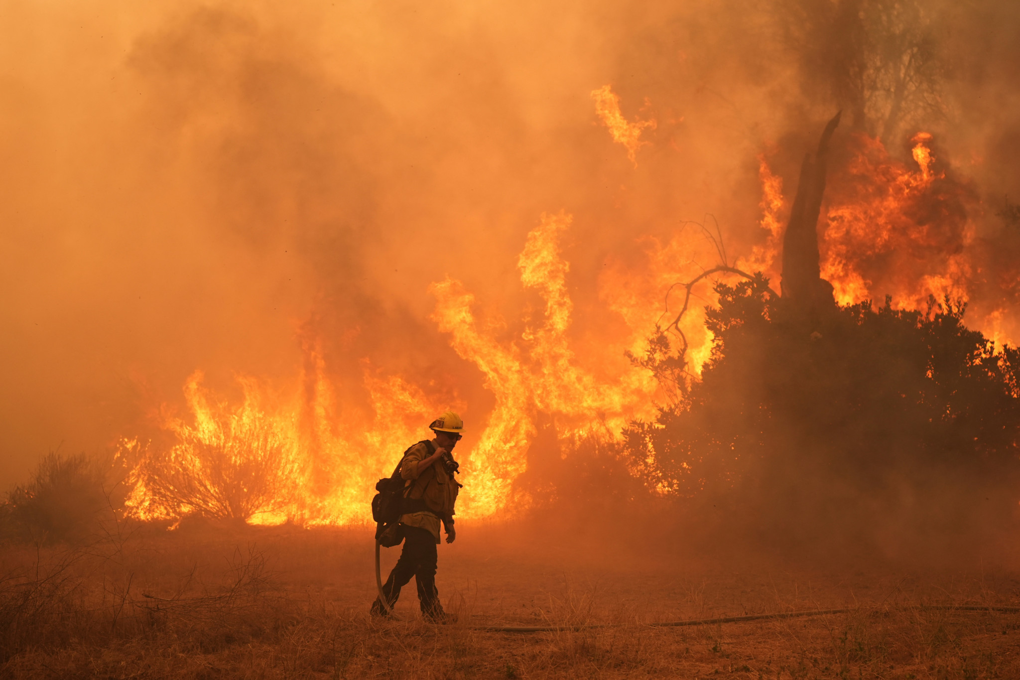 Climat et feux de forêt: L’année 2026 s’annonce «particulièrement grave» en termes d’incendies