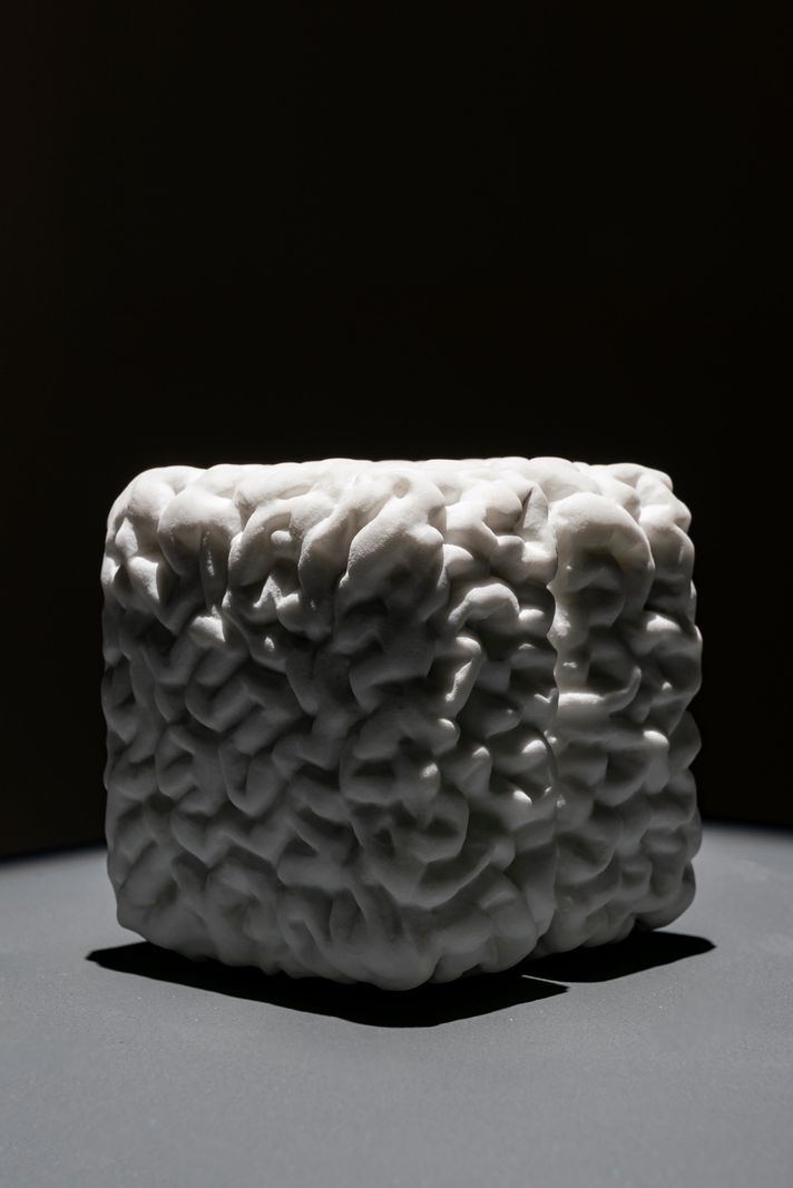 Le cerveau du futur sera-t-il cubique, afin de pouvoir être commodément rangé sur une étagère? s’interroge le sculpteur Vincent Du Bois.