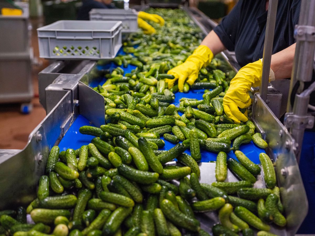 Reitzel Les paris gagnants du roi des cornichons suisses Bilan