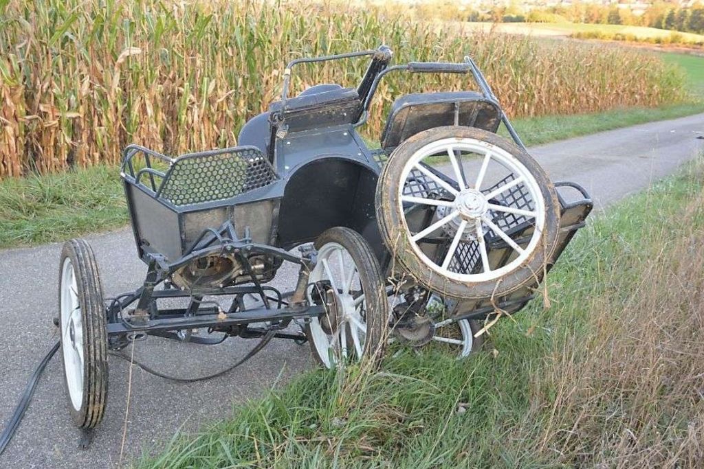Deux chevaux s'emballent et c'est le drame