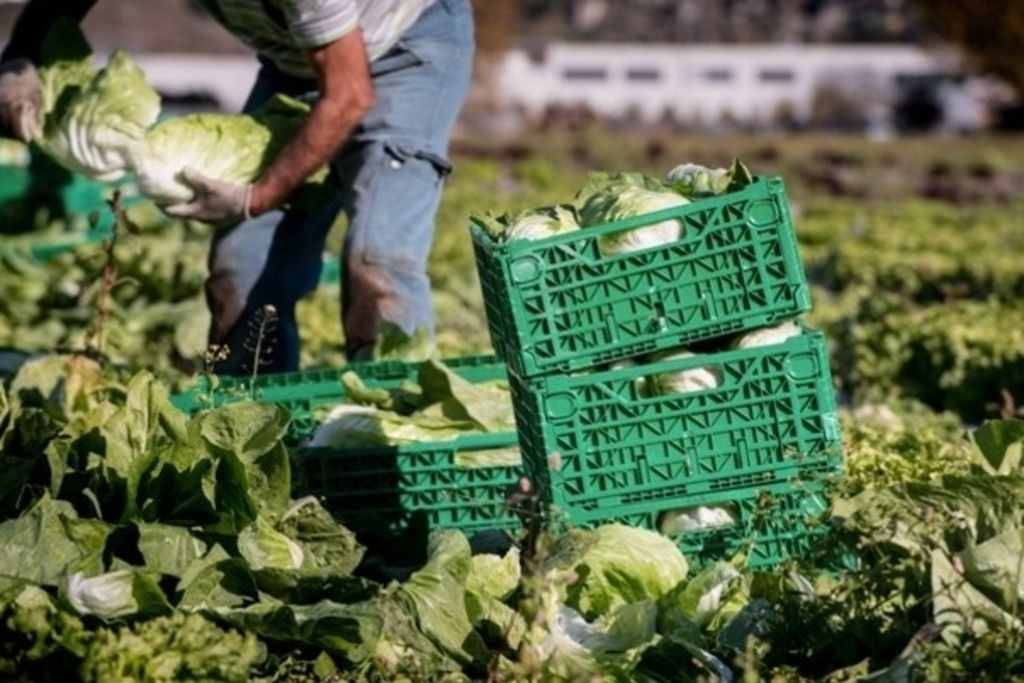 Avenir Suisse veut revoir la politique agricole