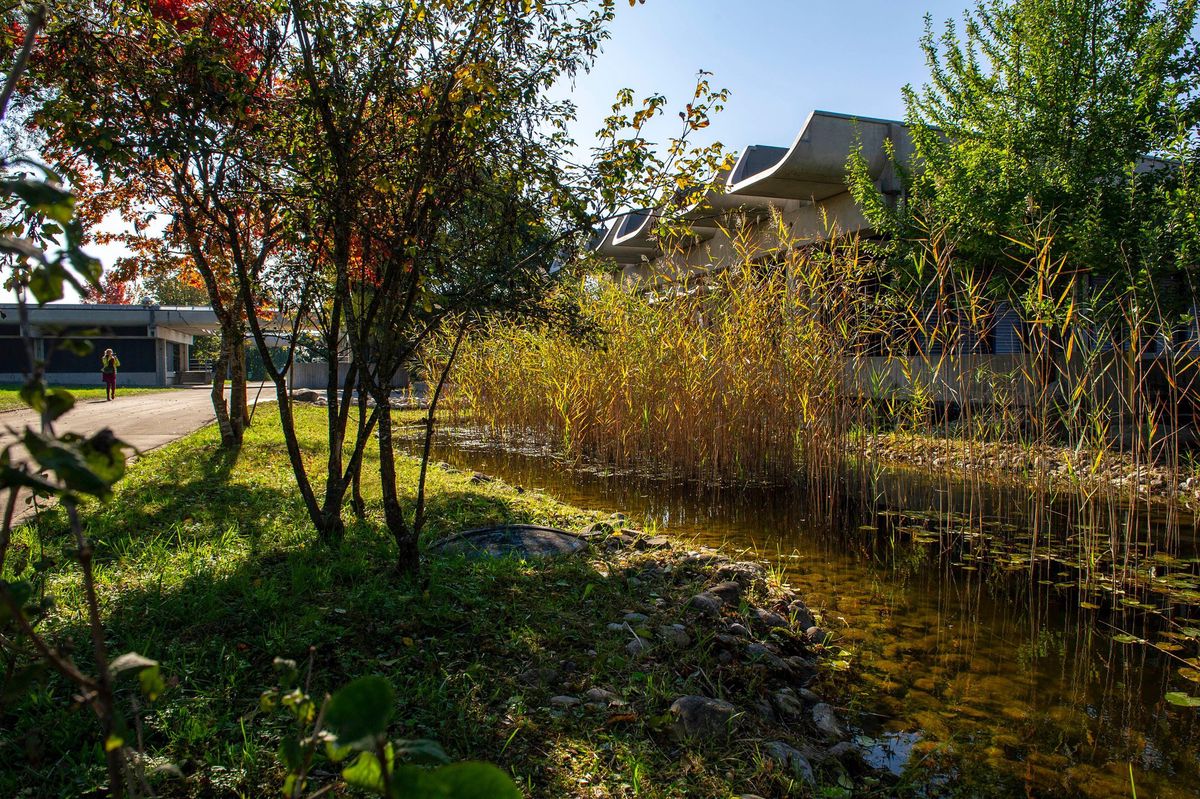 Pour éviter que Micarna ne puisse construire un abattoir géant sur le site AgriCo de Saint-Aubin, Greenpeace s’oppose au plan d’aménagement local de la commune fribourgeoise.