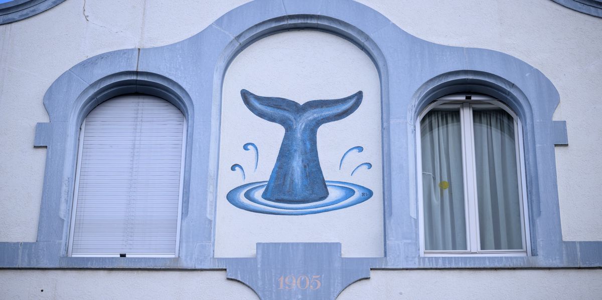 BaZ-Sommerr-tsel-mit-minu-Nummer-8-Sprossen-Flossen-im-Bachletten-quartier-wer-l-st-dieses-R-tsel-