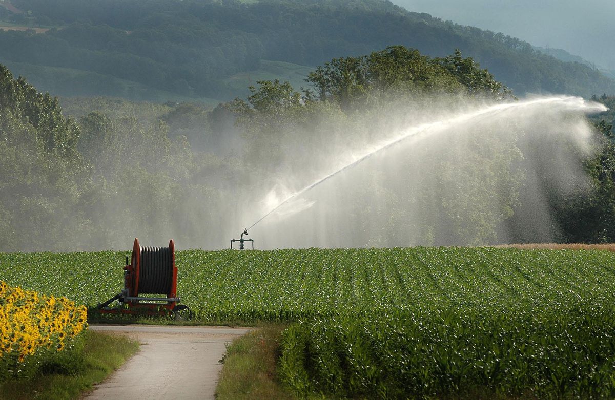 Les adhérents des syndicats d’arrosage comptent sur le lac pour sauver leurs cultures.