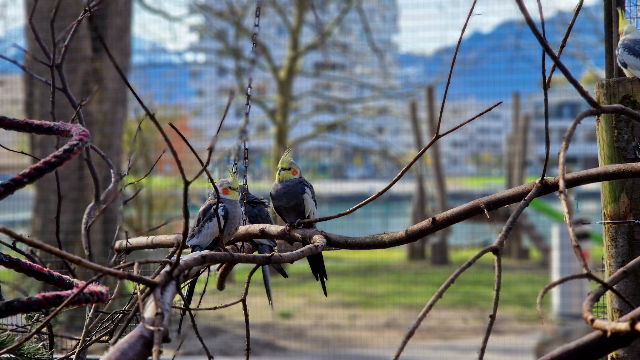 Kreisparteitag FDP Oberland: Freisinnige besuchten Seilbahnzentrum ...