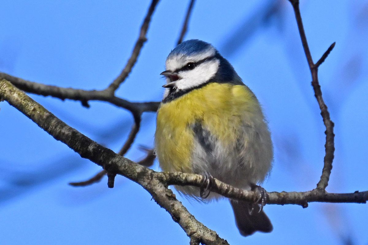 Bilder des Monats Oktober Das sind die schönsten Leserbilder des
