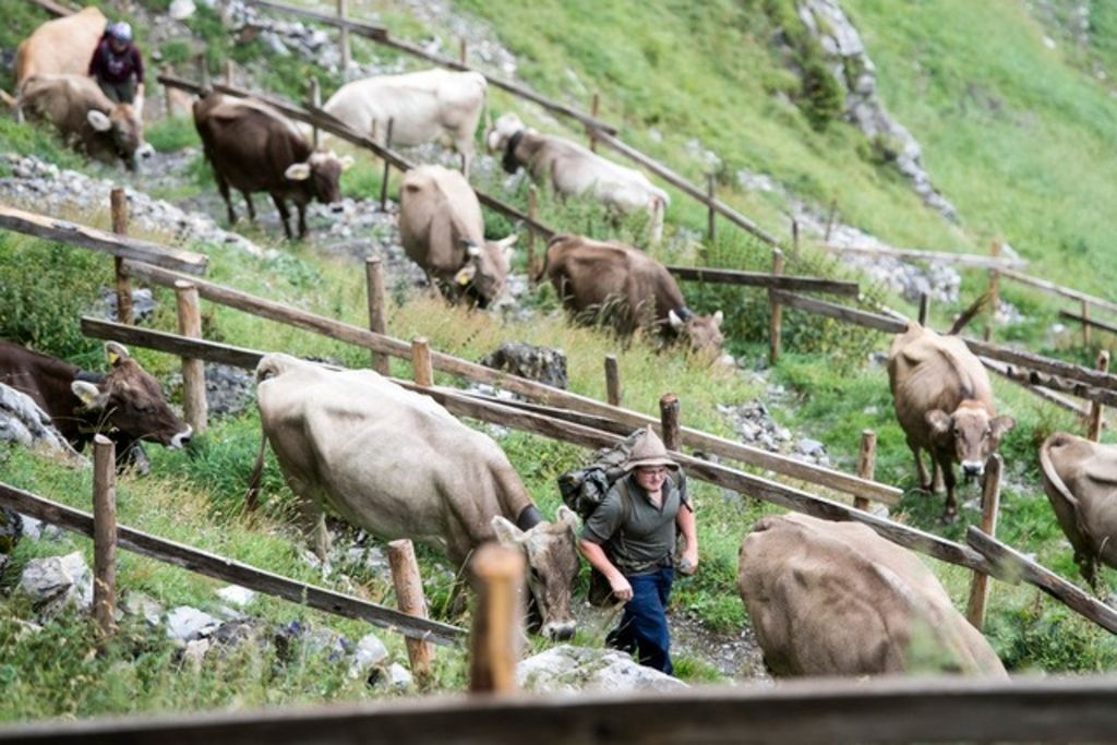 Vers un double «non» aux initiatives agricoles