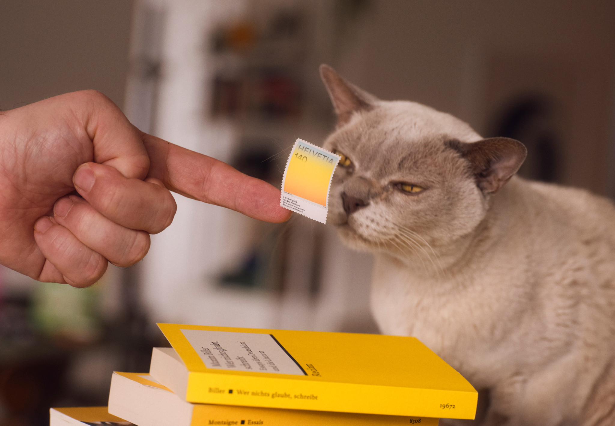 Das Ding mit Küng: Philatelie: Schweizer Briefmarken sind endlich nicht mehr hässlich
