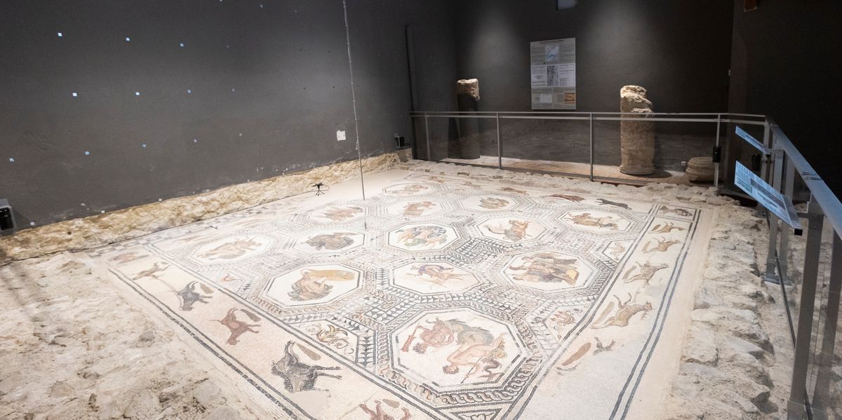 Simge barankoğlu telegram video response was quick and it