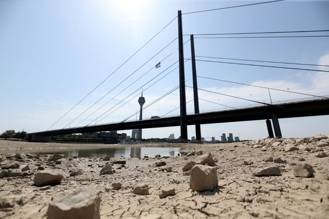 Die Hitzewelle hat auch Deutschland erfasst: Vertrocknetes Flussbett des Rheins in Düsseldorf. (26. Juli 2019) Friedemann Vogel/EPA/Keystone