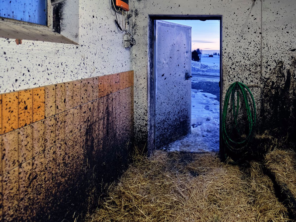 L’horizon depuis une écurie des Breuleux. Une image tirée de «De la terre à la terre» de Luca Dubuis.