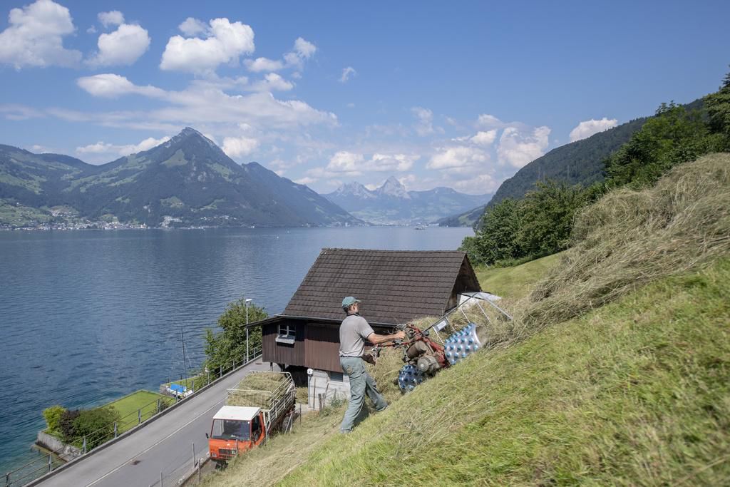 La victime s’était gravement blessée à la tête en tombant, alors qu’elle conduisait une bête à la corde, a indiqué la police bernoise. (image d’illustration)