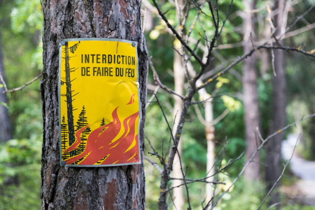 Le canton de Neuchâtel interdit les feux en forêt