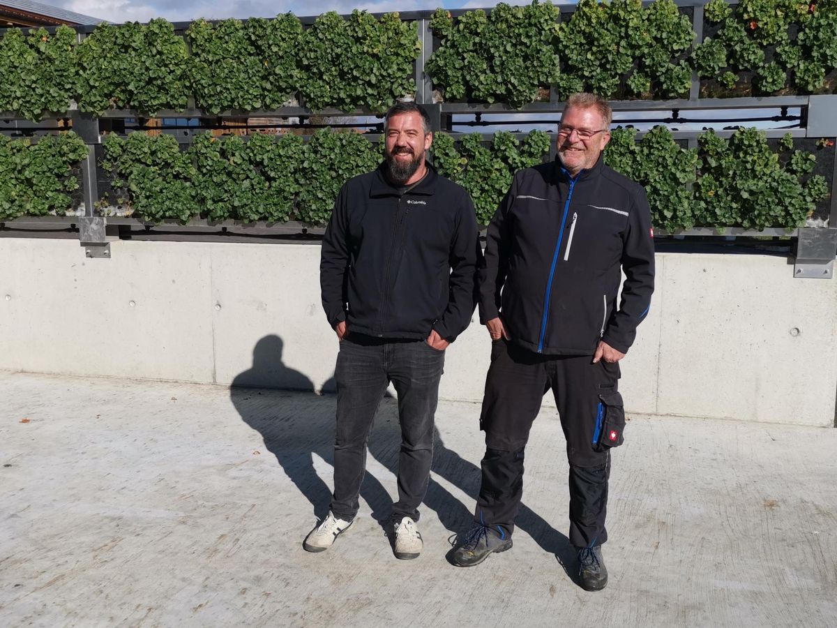 Nicolas Ecabert, fondateur d’ecaVert, et Raymond Meister, vigneron à Satigny, devant le mur végétal breveté à l’Hepia. 