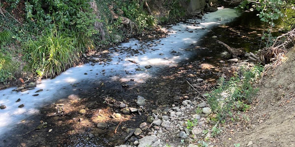 Pollution &agrave; Gen&egrave;ve: un chef de la police de l&rsquo;eau sera nomm&eacute;