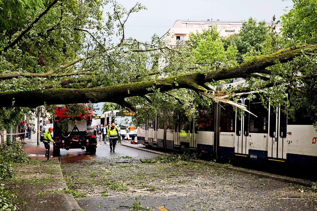 Victime de l’orage, un arbre rompt et s’abat sur un tram