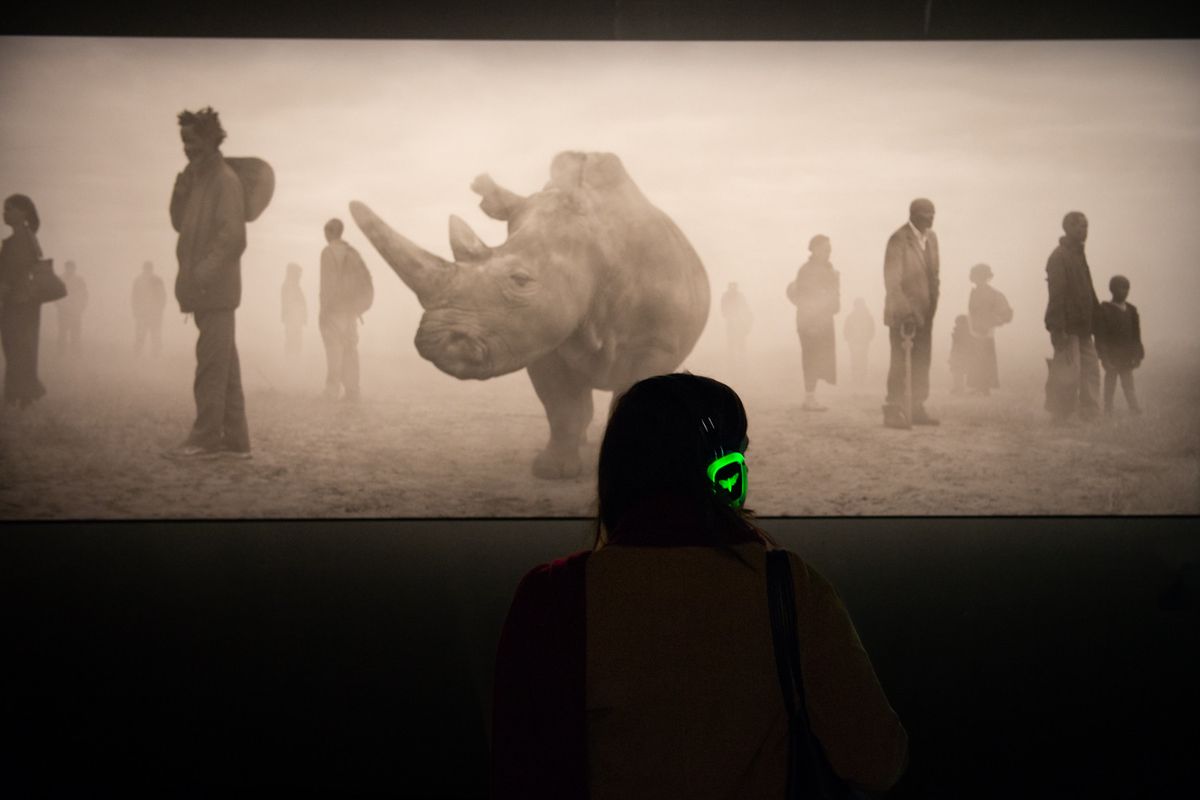 La Nuit des musées se plonge au cœur de la matière