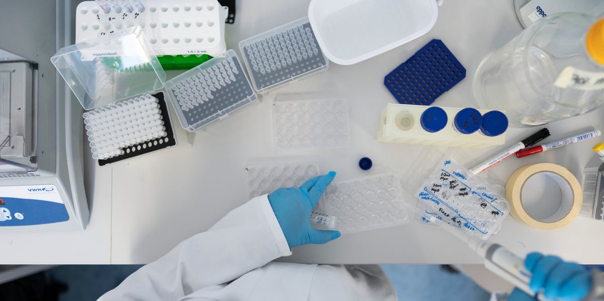 F-rderung-von-Schweizer-Forschung-Nationalfonds-SNF-beschliesst-Sparmassnahmen