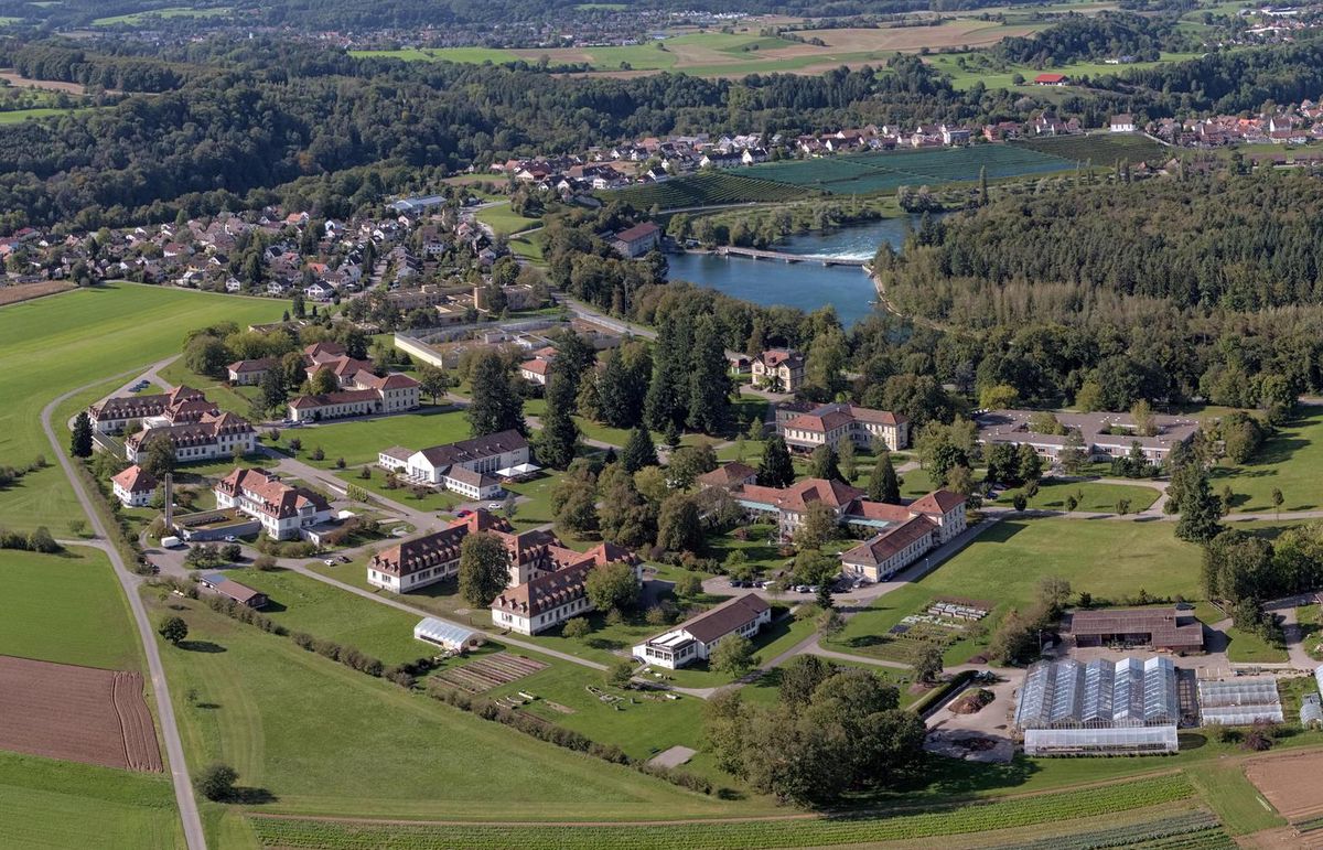 Psychiatrie Rheinau Erdöl statt Holz? Die meiste Wärme kam vom