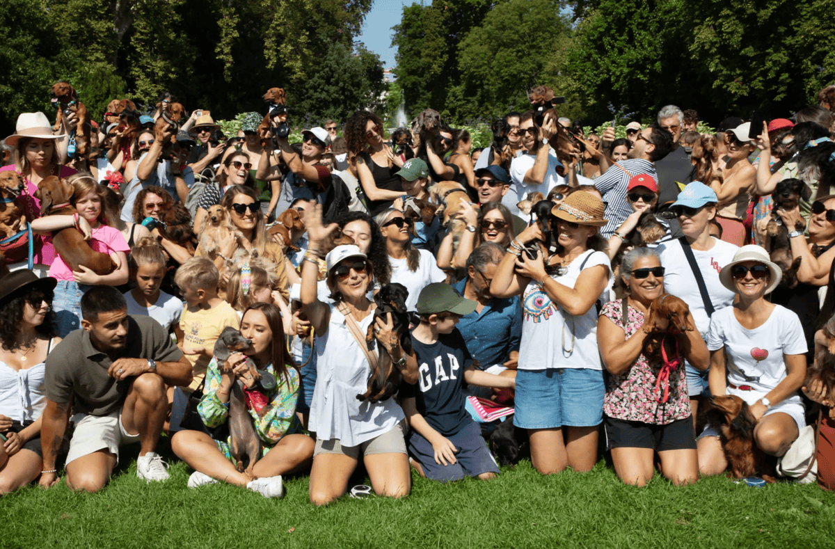 Groupe de personnes rassemblées dans un parc, tenant divers chiens de petite taille, avec de nombreux spectateurs et une végétation luxuriante en arrière-plan.