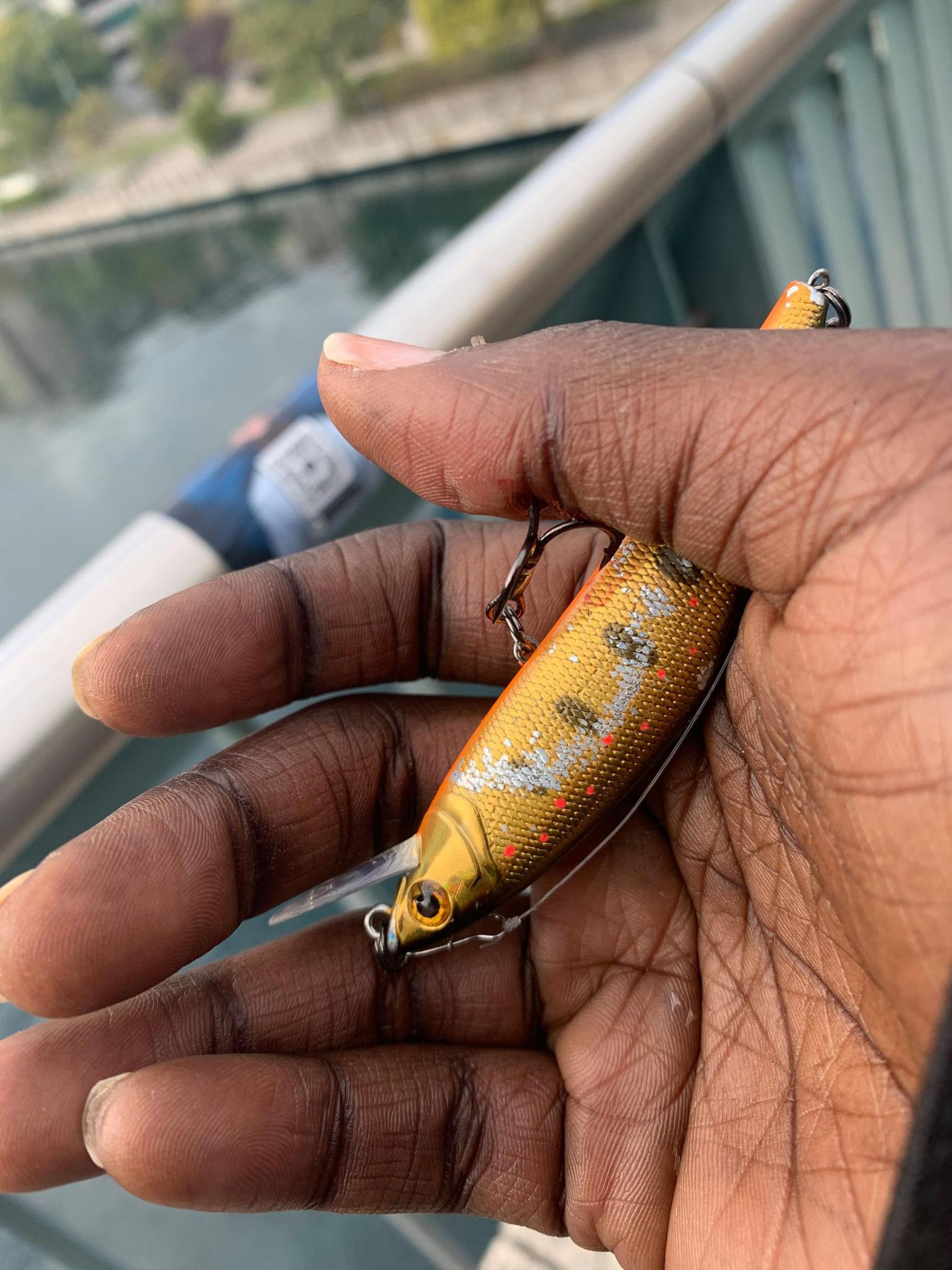 Alors qu’elle traversait le pont de la Coulouvrenière, une passante s’est fait accrocher le pouce par l’hameçon d’un pêcheur situé plusieurs mètres plus bas, sur la promenade des Lavandières..
