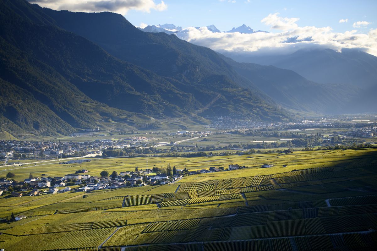 Les vignes photographiees dans le vignoble de la vallee du Rhone ce jeudi 7 octobre 2021 a Chamoson en Valais.(KEYSTONE/Laurent Gillieron)