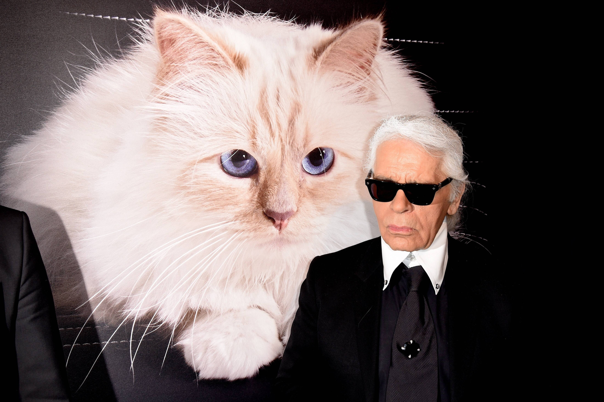 Karl Lagerfelds Haustier: Warum Choupette nicht di