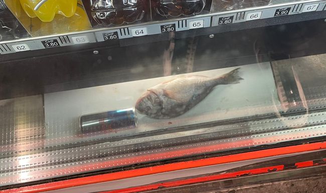 Dieser Anblick liess dem News-Scout «das Blut in den Adern gefrieren». Im Selecta-Automat am Bahnhof Gelterkinden hat jemand am Donnerstag einen Fisch deponiert.