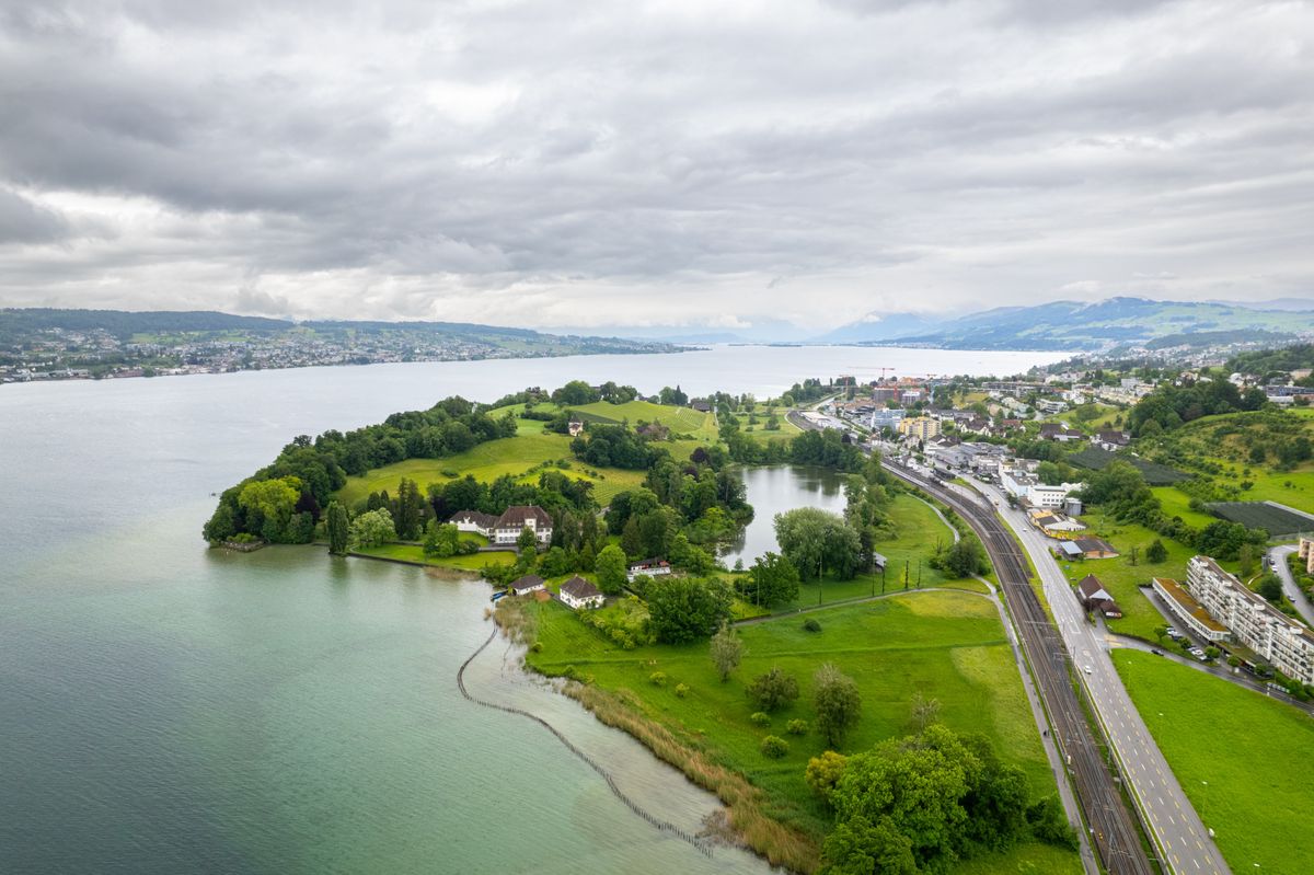 Ausstellung zum Zürichsee Der WWF schafft ein Naturzentrum auf der