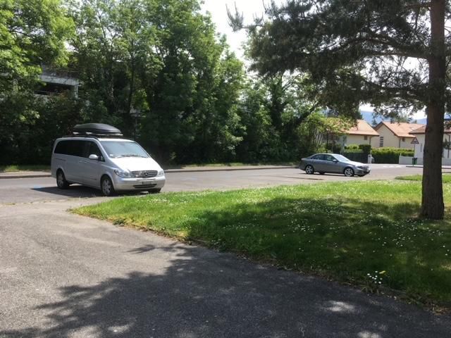 Photo des arbres menacés d’abattage à Cressy-Confignon.