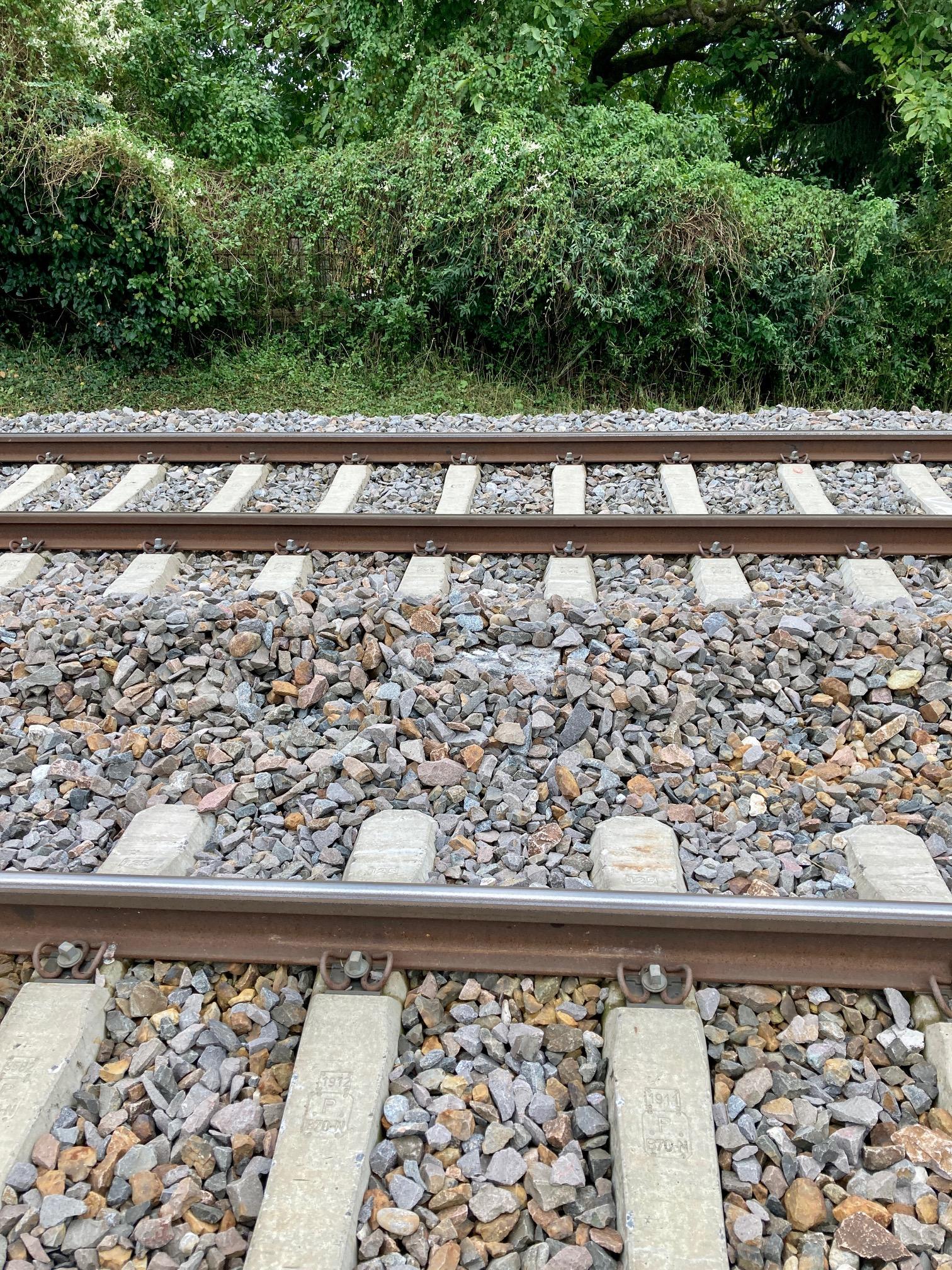 Bahnstrecke Zürich–Stuttgart: Das ist der kürzeste