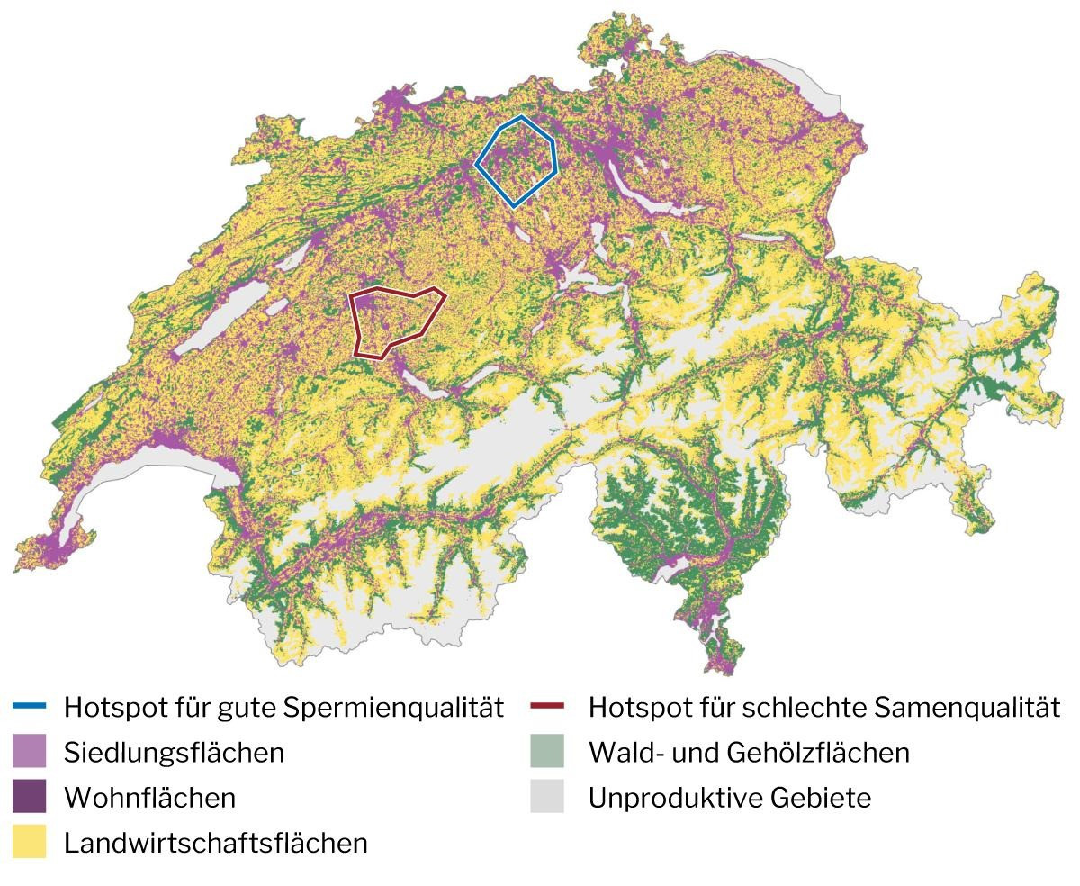 Spermienqualitt: Landwirtschaft beeintrchtigt Sperma in Bern