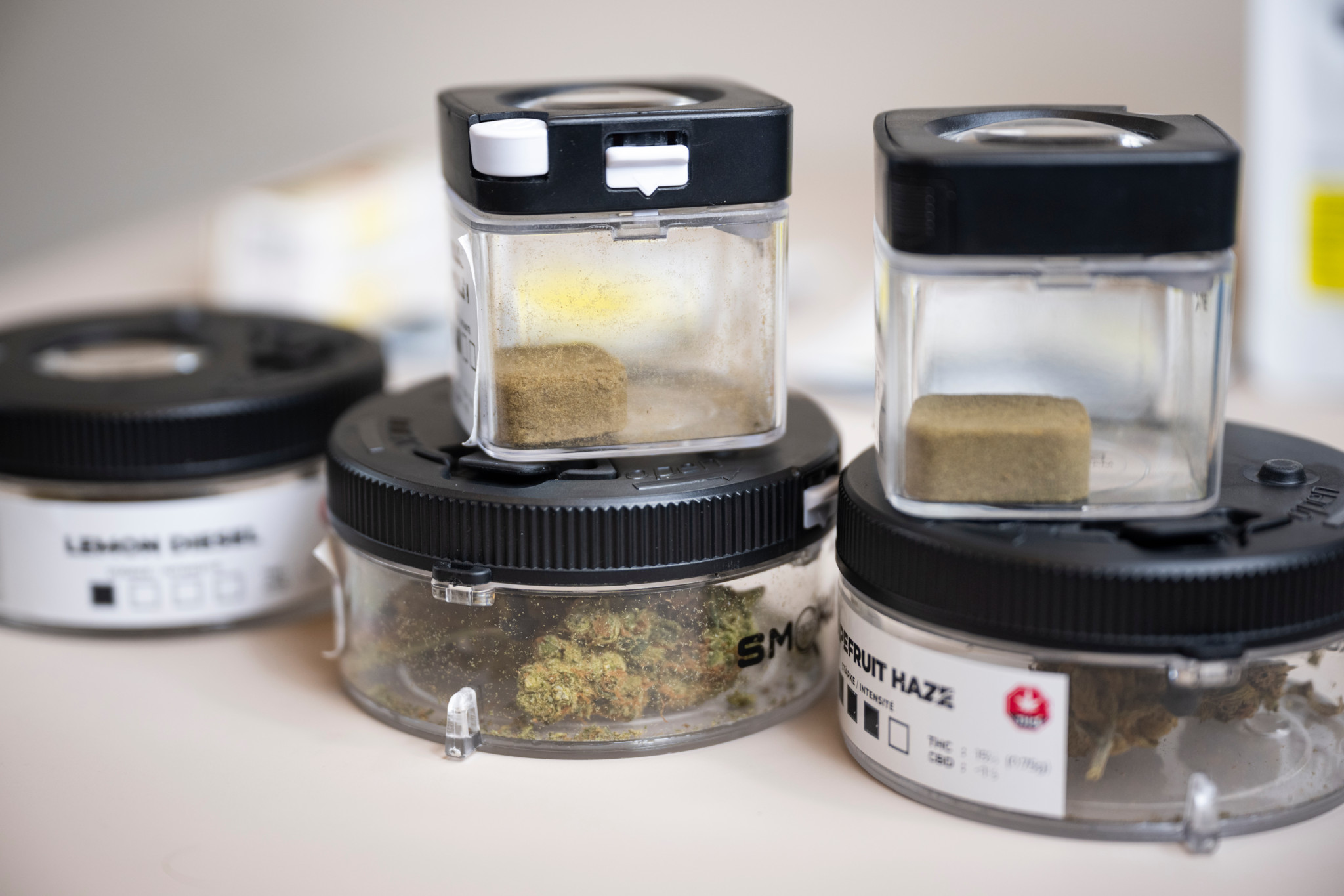 Cannabis in Bern: So funktioniert die Kiffer-Studie
