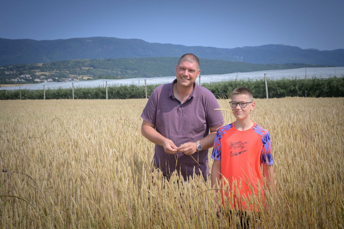 Christophe Courtois (ici avec son fils Arnaud) dans un champ de blé qu’il exploite du côté de Versoix. Le maraîcher sera présent à Agri.Fête, au pavillon Grandes cultures.