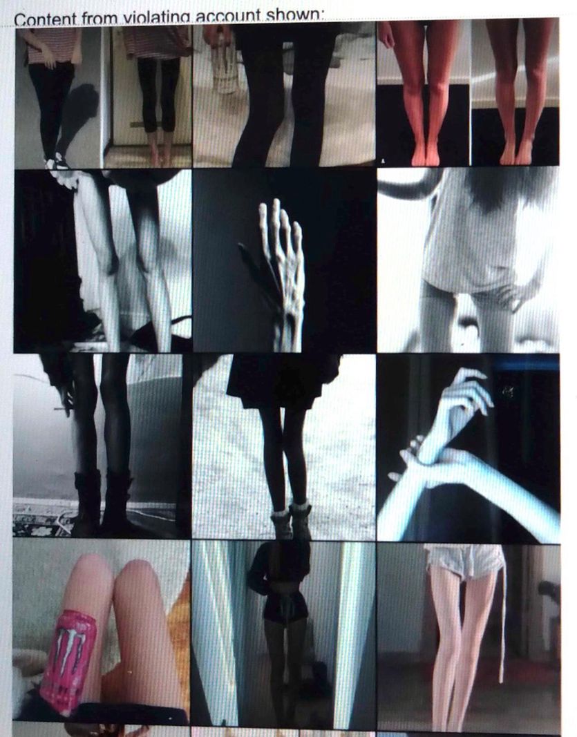 Photos postées sur Instagram, exaltant la maigreur, et repérées par une enquête interne de Facebook. Ces documents ont été remis sous forme caviardée au Congrés américain. 